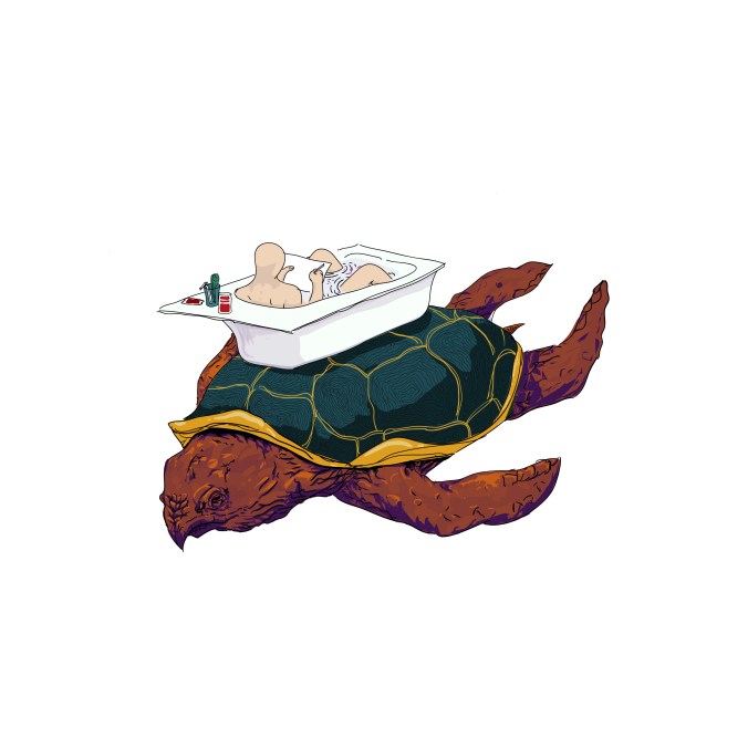 tortuga-por-partes-recolor3